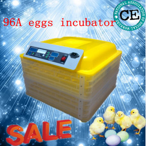 2014 más barato y más nuevo CE aprobó Profesional avestruz Huevo Incubadora automática llena (96 huevos) Venta EW-96A - Product Image 1