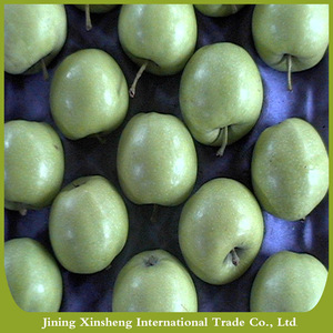 Frescos de alta calidad precio más barato manzanas verdes especiales - Product Image 3