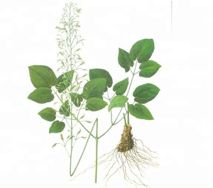 Epimedium Extract for <strong>Penis</strong> <strong>Enlargement</strong> - Product Image 1