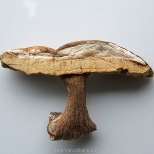 Detan salvaje <span class=keywords><strong>Boletus</strong></span> <span class=keywords><strong>Edulis</strong></span> <span class=keywords><strong>precio</strong></span> - Product Image 4