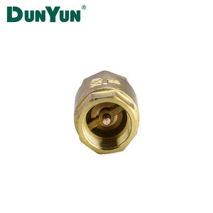DN15 Forged Brass Vertical Spring <strong>Check</strong> Valve Smooth Surface with Non-Return Brass Core Normal Temperature Water <strong>Check</strong> Valve - Product Image 4