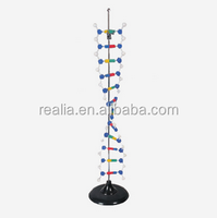 Modelo de ADN modelo de estructura