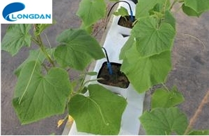 Landbouw Hydrocultuur Steenwolblokken Voor Aanplant - Product Image 4