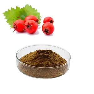 HONGDA Factory Supply Hawthorn Berry Powder Hawthorn Berry Extract Hawthorn Extract