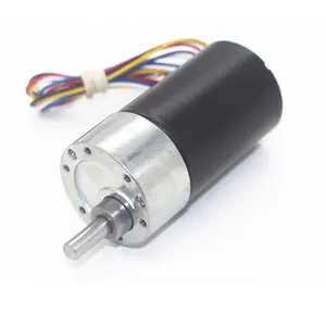 Laag Geluidsniveau Lange Levensduur Hoge Koppel Borstelloze Dc Motor 12V Dc Motorreductor Omkeerbaar Voor High-Class Speelgoed factory Supply 36 Rpm Dwz 1