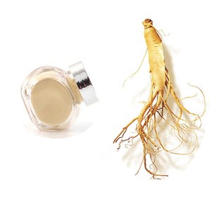 Kinerja baik ekstrak akar <span class=keywords><strong>Ginseng</strong></span> Panax bubuk <span class=keywords><strong>Ginseng</strong></span> untuk Kesehatan - Product Image 3