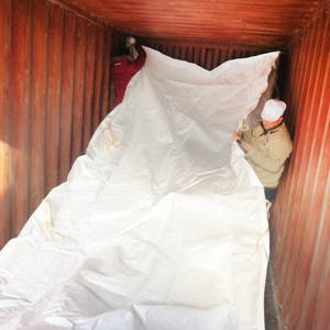 Fabrika toptan yeni ürün kuru pp toplu saklama gözlü astarlı çanta için 20ft konteyner toz, tohum, tahıl, pirinç, şeker, kum vb