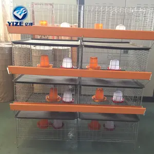 Low Price Chicken Cage a Type or H Type,layer Cage 90 - 200 Chicken One Set Farms Free Spare Parts Philippines 2.5-3.5 Mm CN;HEB