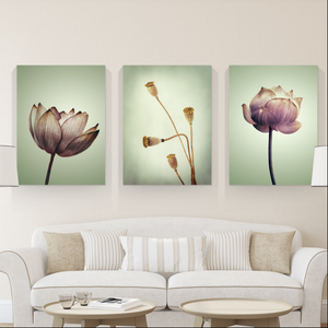 Botánica americana sin marco flor sin marco arte de la pared, tres paneles de arte de la lona para el hogar - Product Image 2