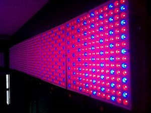 45w הידרופוניקה בהירות גבוהה <span class=keywords><strong>Led</strong></span> לגדול אורות עבור מיקרו חממה ומדף צמיחה
