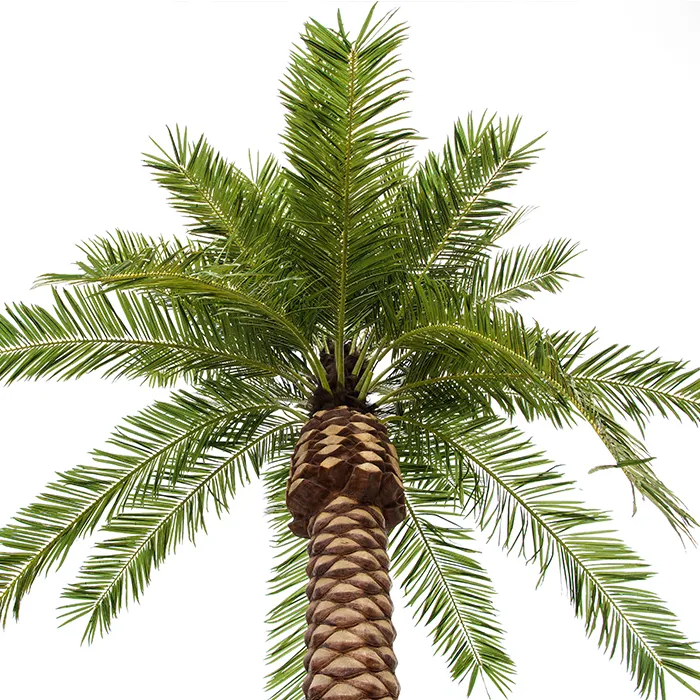 키 큰 베이 장식 로얄 하와이 실내 팜 인공 식물 인공 야자수 야외 장식