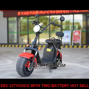 EEC APPROVED citycoco two battery with COC Factory supply electric scooter malaysia price