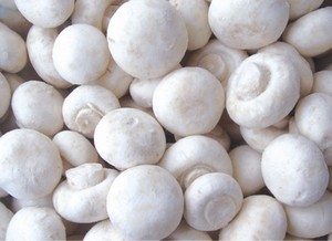 Detan Wholesale Frozen Champignons/Giá Xuất Khẩu Sản Xuất Nấm Trắng - Product Image 5