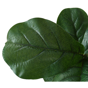 Décoration de meubles usine de simulation <span class=keywords><strong>pour</strong></span> le Violon artificiel feuilles figue de 1.0 M de haut - Product Image 3