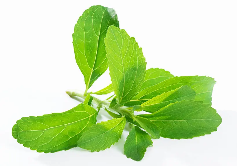 Pure Natural Sweeteners Stevia Extract Reb A Stevia Sugar Price