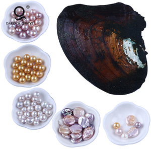 Oyster agricultura Venta al vacío AAA ronda Oyster <span class=keywords><strong>perla</strong></span> <span class=keywords><strong>precio</strong></span> - Product Image 6