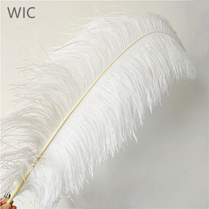 <span class=keywords><strong>Plumes</strong></span> d'autruche noires 28-30 pouces/70-75 cm, décoration économique, <span class=keywords><strong>plumes</strong></span> d'autruche blanchies - Product Image 4