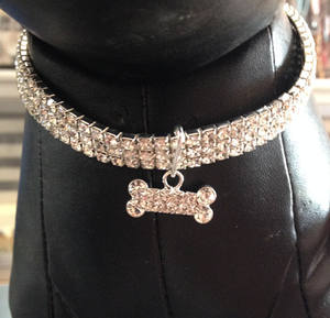 diamond dog chain collar