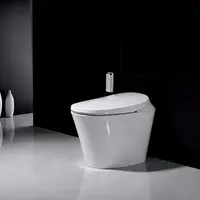 Electronic Smart Water Closet Toilet, Same as Japanese