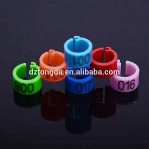 Gepersonaliseerde Duif Beenbanden Aangepast Met Logo Naam Jaar Nummers Gedrukt - Product Image 3