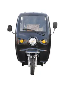 1200W Cargo Tricycle with Cabin for Express IceCream Pizza Bread Drinks Foods Promotion Sales