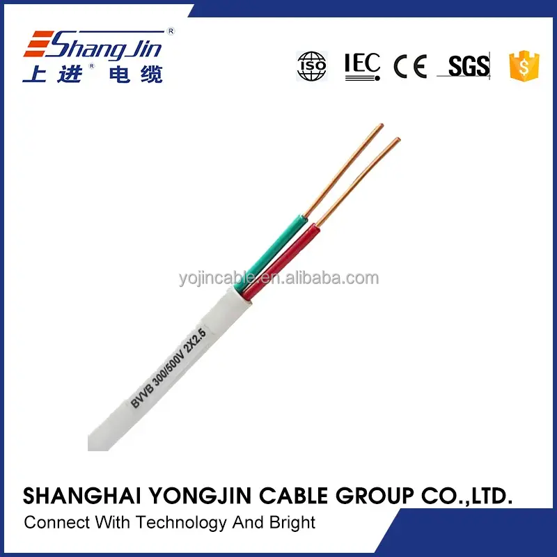 Résistant au feu bv câble deux core électrique fil
