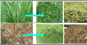 Macchina Trita Fieno/Paglia a Basso Costo, Macchina Taglia Paglia, Tagliatrice per Paglia - Product Image 5