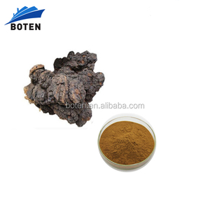 Sıcak satış <span class=keywords><strong>Chaga</strong></span> özü - Product Image 1