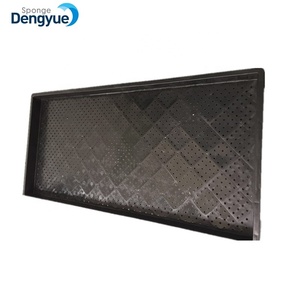 Khay Ươm Hạt Giống Bằng Nhựa, Khay Đựng Hạt Giống, Miếng Bọt Biển - Product Image 2