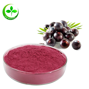 En kaliteli <span class=keywords><strong>Acai</strong></span> Berry özü 25% antosiyanin tozu - Product Image 1