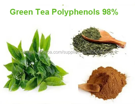 Mejor extracto de té verde té 98% polifenoles 500 mg cápsulas de gelatina