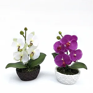 Groothandel planten bloemen orchideeën bonsai-Mini bonsai 4 bloemhoofdjes real touch Orchidee bloem Bonsai Phalaenopsis Orchidee plant Set Real Touch bloem