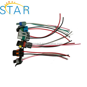 ऑटोमोटिव 2 पिन कनेक्टर लाइट वायर हार्नेस असेंबली निर्माता - Product Image 2