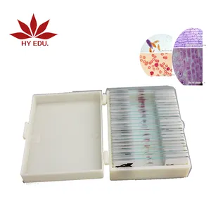 Best selling entomologie slide 24 stks hele insect Voorbereid Microscoop Glas Slides specimen voor educatief training kit