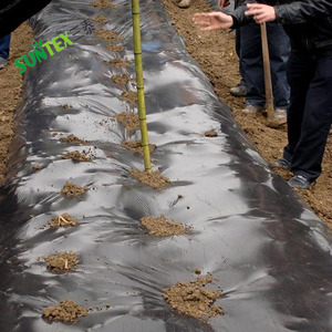 <span class=keywords><strong>Film</strong></span> <span class=keywords><strong>de</strong></span> <span class=keywords><strong>paillage</strong></span> en polyéthylène biodégradable et compostable, vente directe d'usine chinoise, <span class=keywords><strong>pour</strong></span> maintenir l'humidité du sol, <span class=keywords><strong>pour</strong></span> les <span class=keywords><strong>tomates</strong></span> - Product Image 4