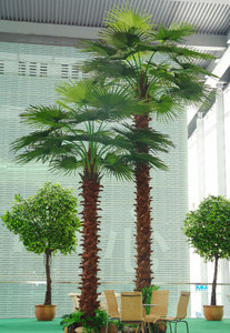 Ngoài trời nhựa thu nhỏ nhân tạo lá cây thân Dubai ngày cây cây cọ cọ - Product Image 4