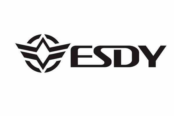 Yiwu Wisdom Import & Export Co., Ltd. logo