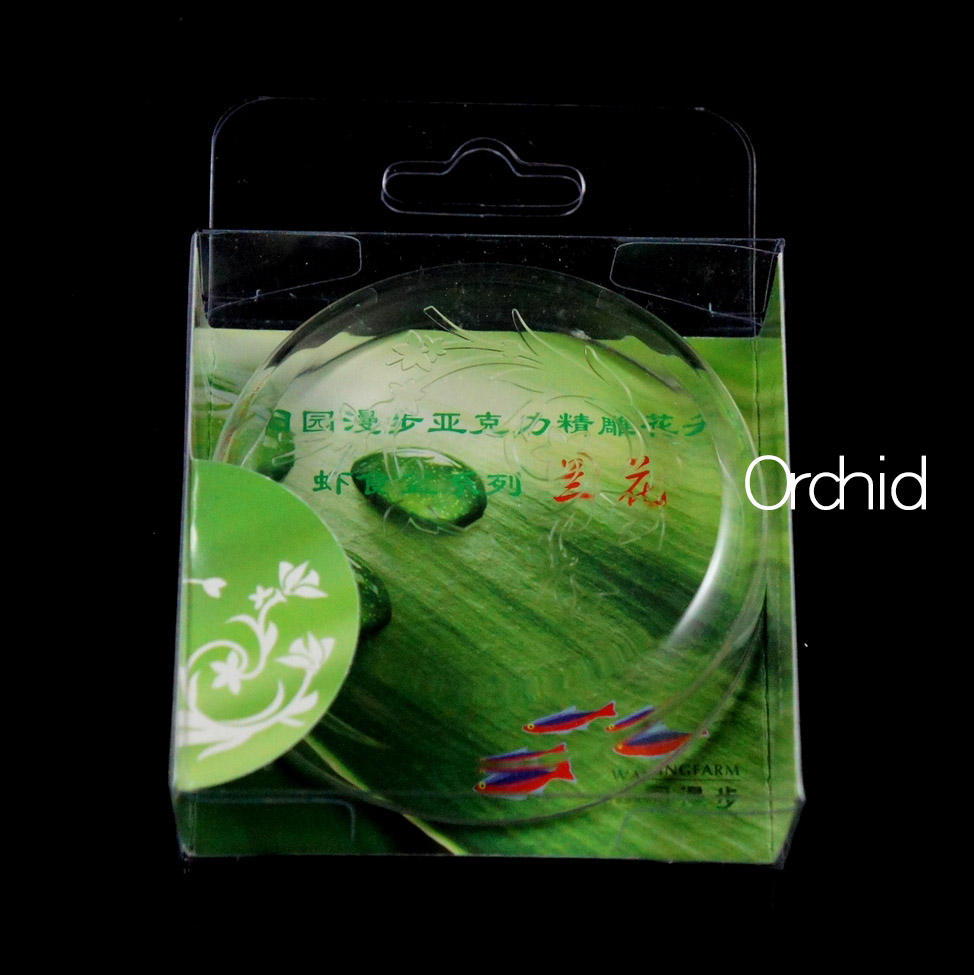 กล้วยไม้