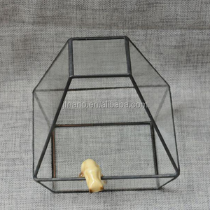 Planta de interior terrarios venta al por mayor decoración artesanía - Product Image 3