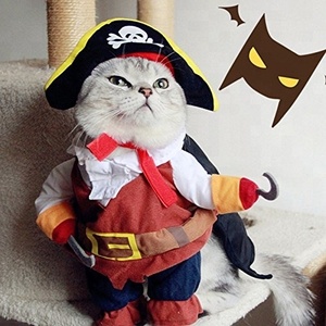 Funny Pet ropa pirata gato traje Corsair vestirse partido ropa para <span class=keywords><strong>perro</strong></span> de gato más sombrero - Product Image 1