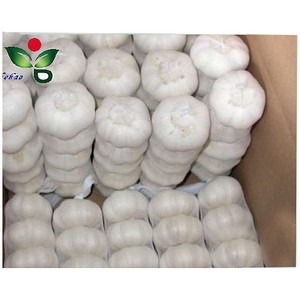 Small <strong>Net</strong> <strong>Bag</strong> for Garlic 1kg 5kg 10kg - Product Image 3