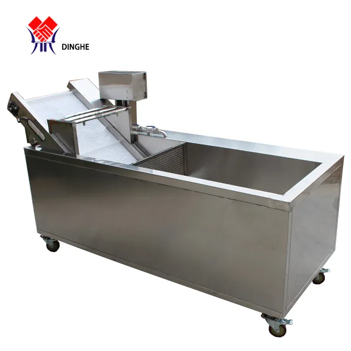 Top Quality Commercial Berry Washing Machine / Mango Cleaner and Washer