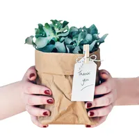 Ebay Hot Sell Kreative neue Weihnachts dekoration Wasch barer Kraftpapier-Blumentopf halter