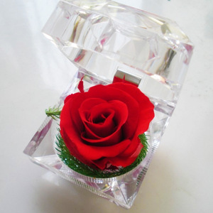 Regalo di san valentino di natale 2018 rose conservate all'ingrosso romantiche in scatola di anelli di vetro - Product Image 2