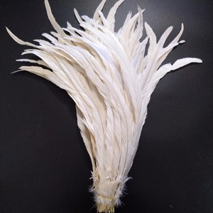 ขนไก่แบบขนไก่ล้างสีขาวขนาด40-45ซม. สำหรับชุดคาร์นิวัล - Product Image 2