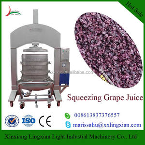 Machine de traitement pour <span class=keywords><strong>Raisins</strong></span>/Raisin Machine À Broyer pour clair Jus De Raisin - Product Image 3