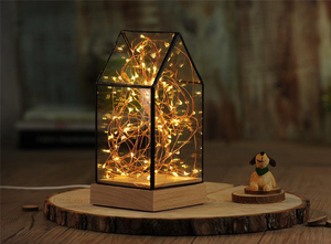 Offre Spéciale Mignon Mini Led Nuit Lumière Décor À La Maison - Product Image 6