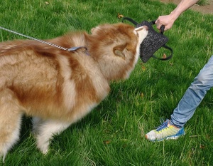 Gemi hazır 3 güçlü kolları jüt Bite köpek eğitim Bite yastık - Product Image 6