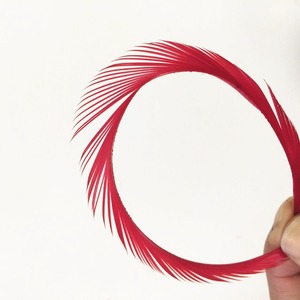 Vente en gros plumes d'oie rayées <span class=keywords><strong>Biot</strong></span> à <span class=keywords><strong>vendre</strong></span> pas cher - Product Image 1