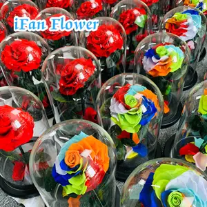 IFAN花卉公司设计保留彩虹玫瑰玻璃圆顶保留玫瑰出口沙特阿拉伯